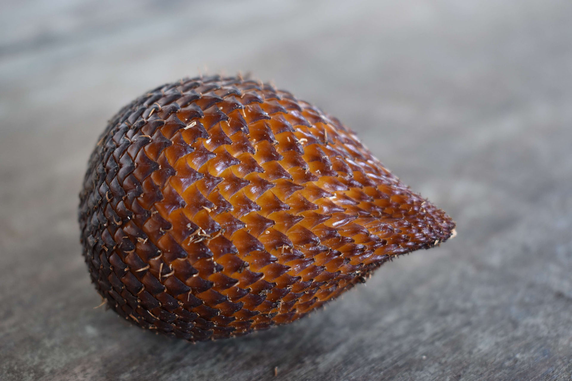 Salak : le fruit du serpent - Indonésie
